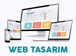 Web Hosting Nedir? İşletmeniz İçin Doğru Hosting Seçiminin Önemi